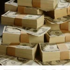 Meet your Posher, Ginger